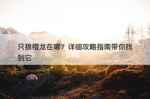 只狼樱龙在哪？详细攻略指南带你找到它