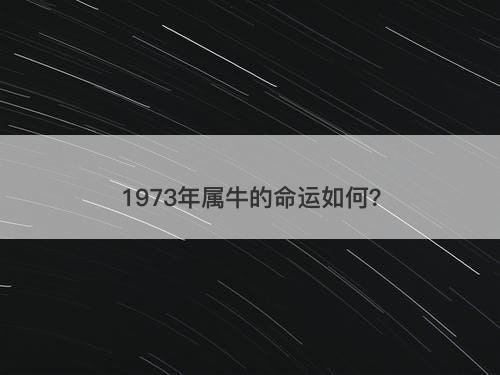 1973年属牛的命运如何？