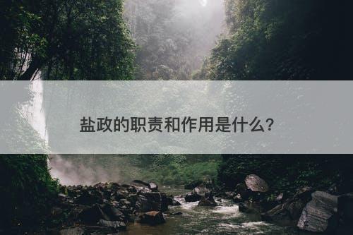 盐政的职责和作用是什么？