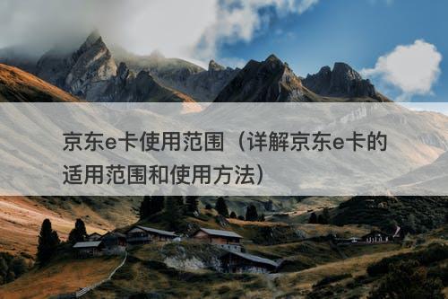 京东e卡使用范围（详解京东e卡的适用范围和使用方法）-图1