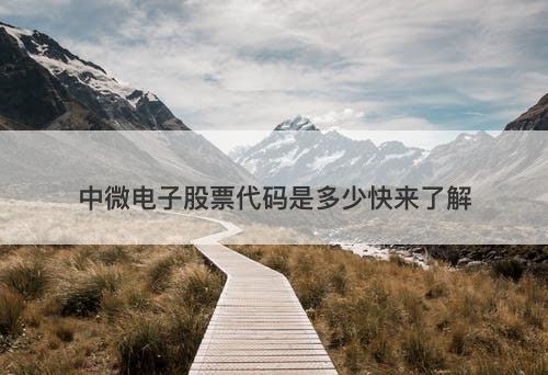 中微电子股票代码是多少快来了解