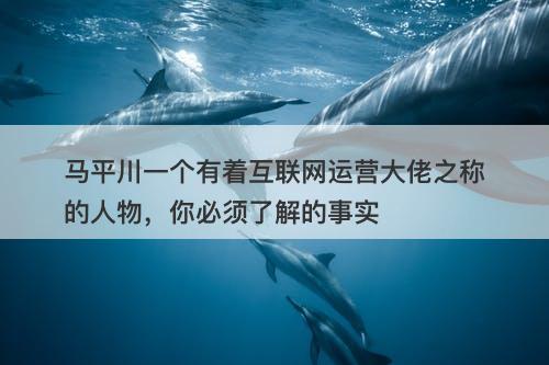 马平川一个有着互联网运营大佬之称的人物，你必须了解的事实