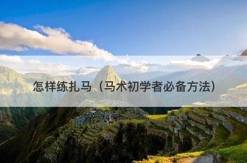 怎样练扎马（马术初学者必备方法）