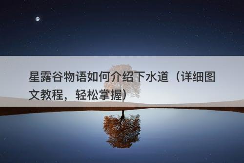 星露谷物语如何介绍下水道（详细图文教程，轻松掌握）