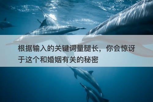 根据输入的关键词量腿长，你会惊讶于这个和婚姻有关的秘密