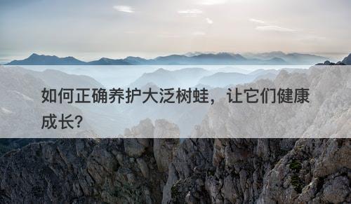 如何正确养护大泛树蛙,让它们健康成长?