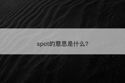 spot的意思是什么?-图1 spot的意思是什么?-图1