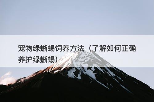 宠物绿蜥蜴饲养方法（了解如何正确养护绿蜥蜴）