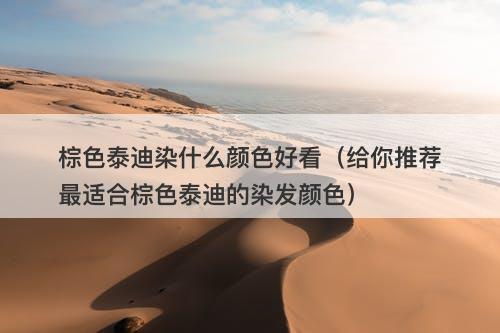 棕色泰迪染什么颜色好看（给你推荐最适合棕色泰迪的染发颜色）-图1