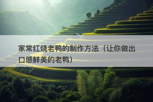 家常红烧老鸭的制作方法（让你做出口感鲜美的老鸭）-图1