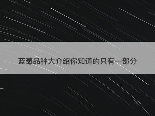 蓝莓品种大介绍你知道的只有一部分