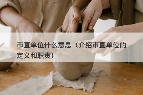 市直单位什么意思（介绍市直单位的定义和职责）