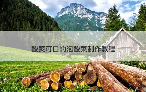 酸爽可口的泡酸菜制作教程