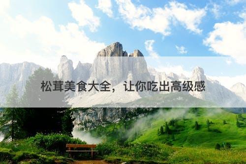 松茸美食大全，让你吃出高级感