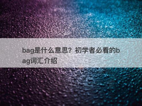 bag是什么意思?初学者必看的bag词汇介绍