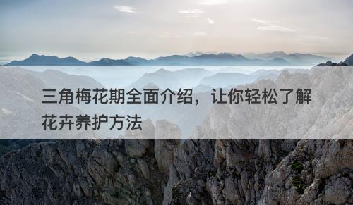 三角梅花期全面介绍,让你轻松了解花卉养护方法