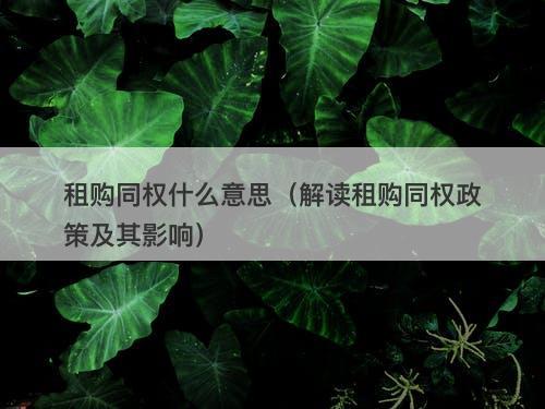租购同权什么意思(解读租购同权政策及其影响)