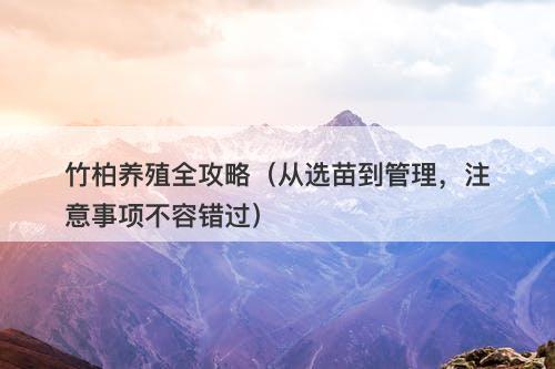 竹柏养殖全攻略（从选苗到管理，注意事项不容错过）
