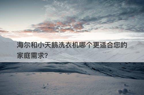 海尔和小天鹅洗衣机哪个更适合您的家庭需求？