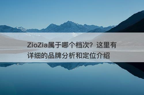 ZioZia属于哪个档次？这里有详细的品牌分析和定位介绍