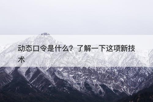 动态口令是什么?了解一下这项新技术