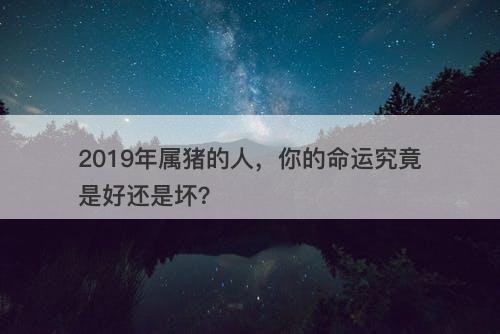 2019年属猪的人,你的命运究竟是好还是坏?