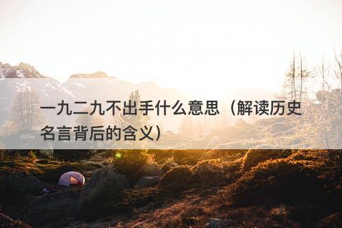 一九二九不出手什么意思（解读历史名言背后的含义）