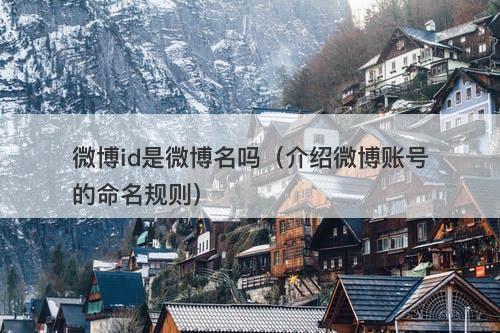 微博id是微博名吗（介绍微博账号的命名规则）
