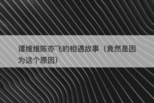 谭维维陈亦飞的相遇故事（竟然是因为这个原因）