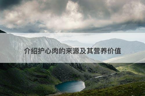 介绍护心肉的来源及其营养价值