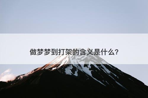 做梦梦到打架的含义是什么?