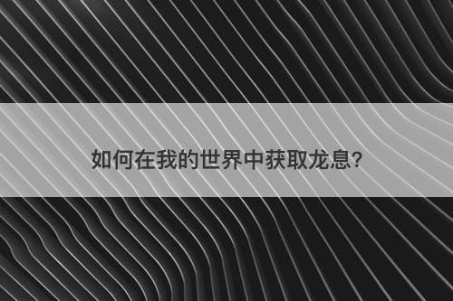 如何在我的世界中获取龙息?