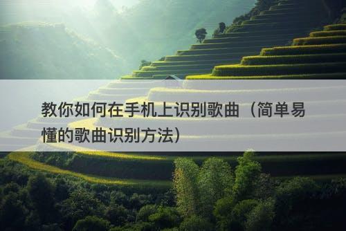 教你如何在手机上识别歌曲（简单易懂的歌曲识别方法）