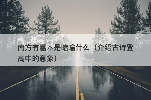 南方有嘉木是暗喻什么(介绍古诗登高中的意象)