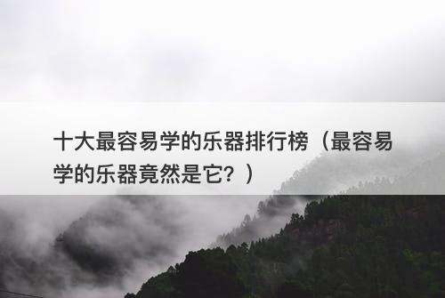 十大最容易学的乐器排行榜（最容易学的乐器竟然是它？）