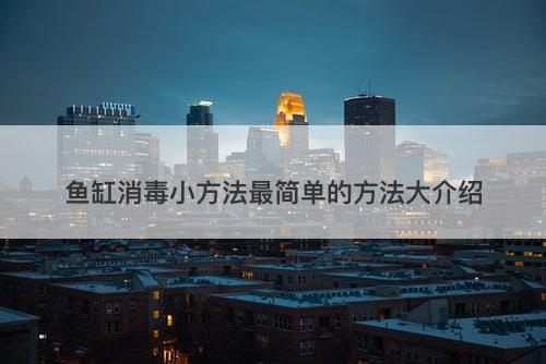 鱼缸消毒小方法最简单的方法大介绍