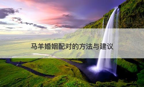 马羊婚姻配对的方法与建议
