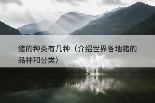 猪的种类有几种（介绍世界各地猪的品种和分类）