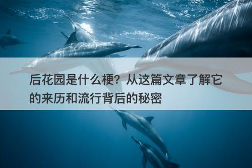后花园是什么梗？从这篇文章了解它的来历和流行背后的秘密