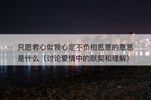 只愿君心似我心定不负相思意的意思是什么(讨论爱情中的默契和理解)