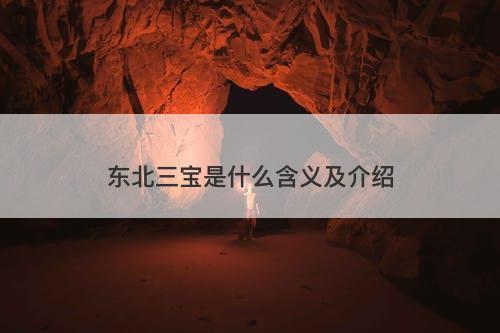 东北三宝是什么含义及介绍