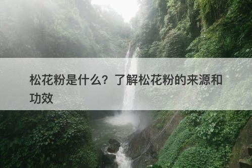 松花粉是什么？了解松花粉的来源和功效