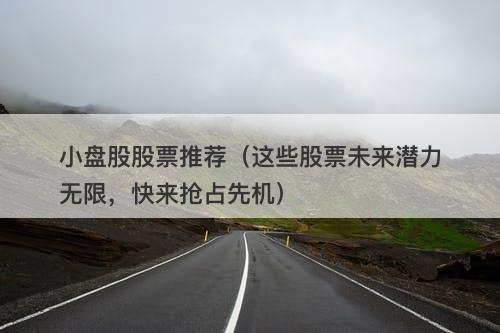 小盘股股票推荐（这些股票未来潜力无限，快来抢占先机）