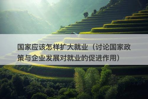 国家应该怎样扩大就业（讨论国家政策与企业发展对就业的促进作用）