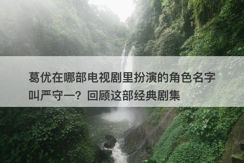 葛优在哪部电视剧里扮演的角色名字叫严守一？回顾这部经典剧集