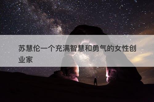 苏慧伦一个充满智慧和勇气的女性创业家