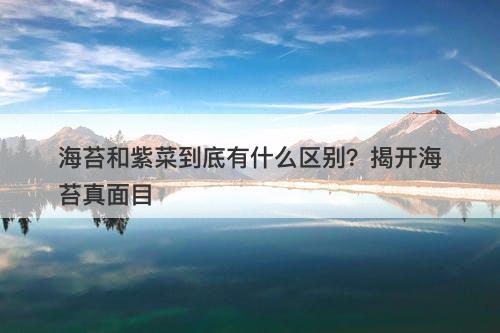 海苔和紫菜到底有什么区别？揭开海苔真面目