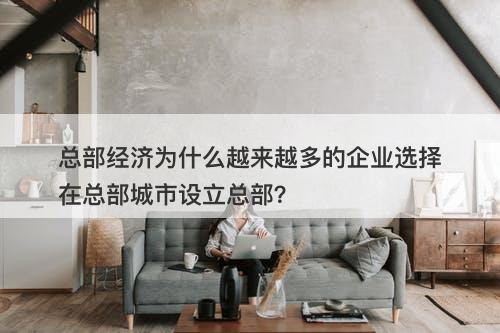 总部经济为什么越来越多的企业选择在总部城市设立总部？
