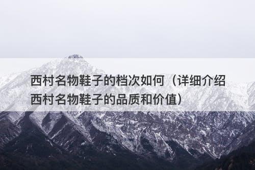 西村名物鞋子的档次如何（详细介绍西村名物鞋子的品质和价值）