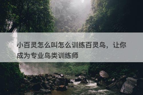 小百灵怎么叫怎么训练百灵鸟，让你成为专业鸟类训练师